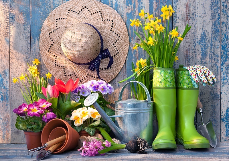 flowers / as flowers